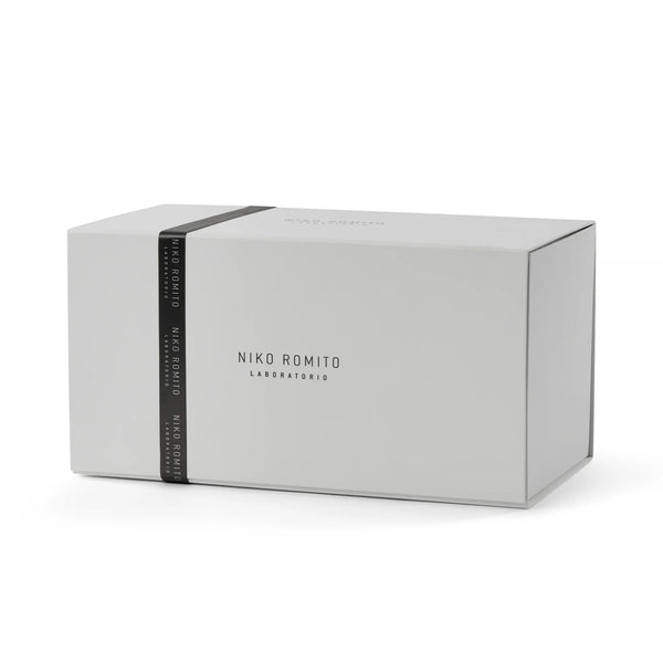 Special Edition Box 2 Panettone